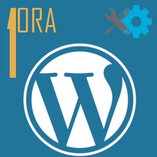 1 ora assistenza Tecnica Wordpress
