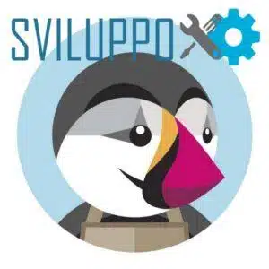 Sviluppo Custom Prestashop
